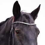 Annie Longmore 🇳🇿 - @jumper._.pony - Instagram