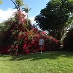 Annette Loranger - @annetteloranger - Instagram