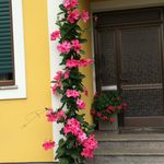 Annemarie Lorber - @annemarielorber - Instagram