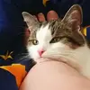 Anne Lösch967 - @user29th4v44uc - TikTok