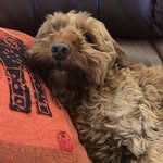 Anne Gair Lothian - @annelothian - Instagram