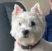 Anne Lothian - Facebook