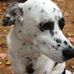 Anne Lott - Facebook