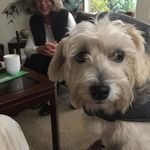 Anne Lowder - @anne.lowder - Instagram