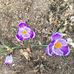 Anne Lowder - Facebook