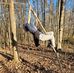 Anne Rogers Lowder - Facebook