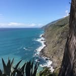 Anne Margaret Lowe - @annelowe354 - Instagram