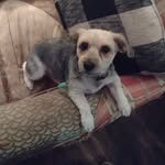 Anne Davis Lowery - @annelowery41 - Instagram