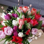 Anne Løwer - @loweranne - Instagram