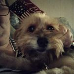 Anne Davis Lowery - @annelowery41 - Instagram