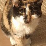 Anne Lowish - Facebook
