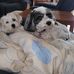Anne Lowry - Facebook
