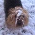 Ann Lucey - Facebook
