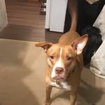 Anne Lucey - @anne.lucey.7 - Instagram