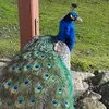 Anne.luft - @user176313230 - TikTok