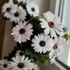 Anne Lukass - @annelukass - TikTok