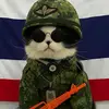 Anne  Lum - @anne....lum - TikTok