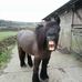 Anne Lumb - Facebook