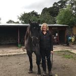 Anne Lumb - @lumbanne - Instagram