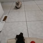 Anne & Luna - @anne.e.luna - Instagram