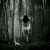 Anne Luna - Facebook