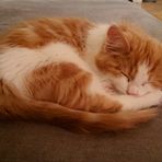 Anne Lundgren - Facebook