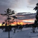 Anne Marie Lundgren - Facebook