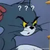 Anne Luo555 - @user1691177396931 - TikTok