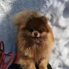 anne_luo - @anne_luo - TikTok