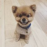 Anne Lydon - @anneml18 - Instagram