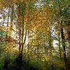 Anne Lydon - @anne.lydon - TikTok