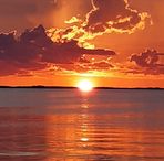 Ann Lynam - Facebook