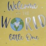Anne Lynam - @welcometotheworldlittleone - Instagram
