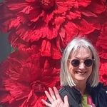 Anne Lynam - @lylobird - Instagram