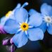 Anne Lyng - Facebook