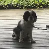 annelyngs - @annelyngs - TikTok