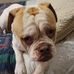 Anne Lytle - Facebook