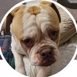 Anne Lytle (Anne Lytle) - @annelytleanne - Instagram