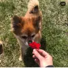anne_ma.xx - @anne_ma.xx - TikTok