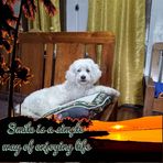 Anne Jane Macario - Facebook
