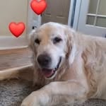 Annette MacEachern - @annmac2025 - Instagram