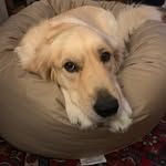 Anne Marie MacInnes - @ammacinnes20 - Instagram