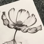 Anne MacIntyre - @annemacintyreprints - Instagram