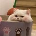 Anne Mack - Facebook