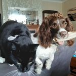Anne Mack - @annemack4921 - Instagram