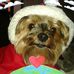 Anne Mack - Facebook