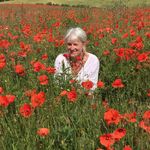 Anne Macmillan Sloan - @annedsloan - Instagram