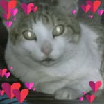 Anne Manners - @annemanners - Instagram