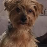 Anne Manners - @am1160 - Instagram