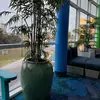 annes lifee - @annemannershouse - TikTok